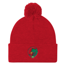 Load image into Gallery viewer, Pom Pom Knit Cap Zaalunna